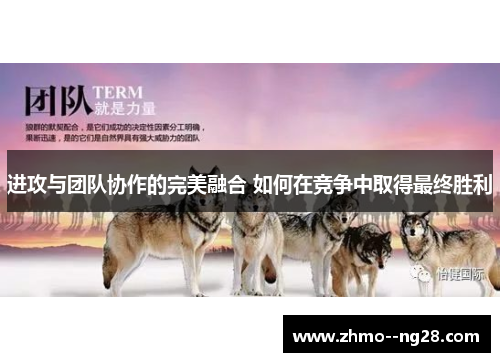 进攻与团队协作的完美融合 如何在竞争中取得最终胜利