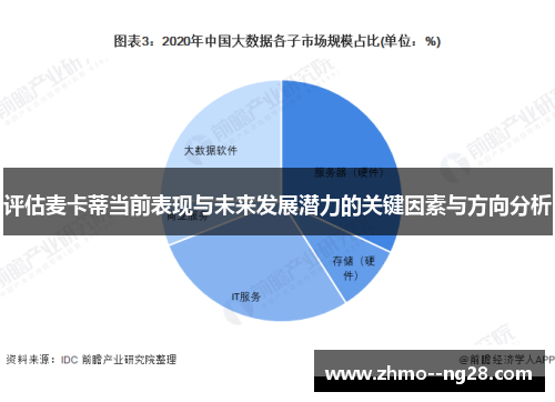 评估麦卡蒂当前表现与未来发展潜力的关键因素与方向分析