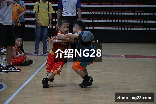 介绍NG28
